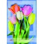 Lebez 81167 - Biglietti Buon Compleanno Fiori Conf.12 pz