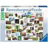 Ravensburger 16711 - Puzzle 1500 Pezzi - Collage di Animali Divertenti