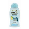 Splend'Or 2953 - Balsamo Districante Limone 300 ml