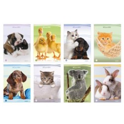 Blasetti 0043 - Maxi Quaderno A4 100 gr 4F Animali