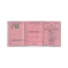 Sei 483333 - Custodia Patente Conf.100 pz