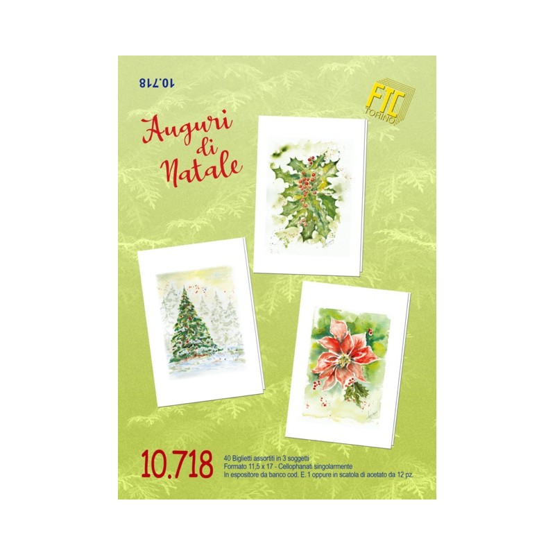 Ftc 10718 - Biglietti Auguri Natale 11,5x17cm Conf.12 pz