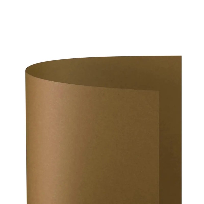 Favini 59022 - Cartoncino Bristol 200gr 50 x 70 Marrone