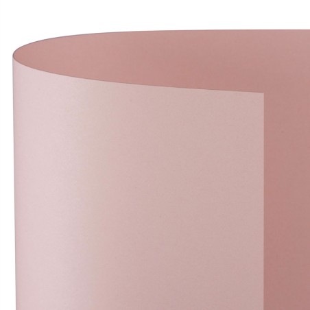 Favini 57154 - Cartoncino Bristol 200gr 50 x 70 Rosa