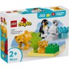 Lego 10442 - Duplo - Famiglie di Animali : Pinguini e Leoni