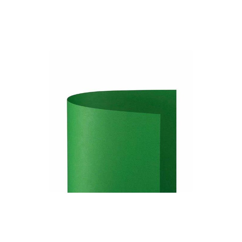 Fabriano 44353231 - Cartoncino Bristol 200gr 50 x 70 Verde