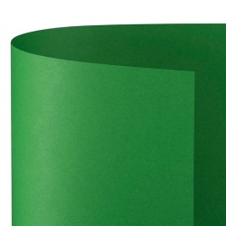 Favini A35D0A1 - Cartoncino Bristol 100 x 70 cm Verde