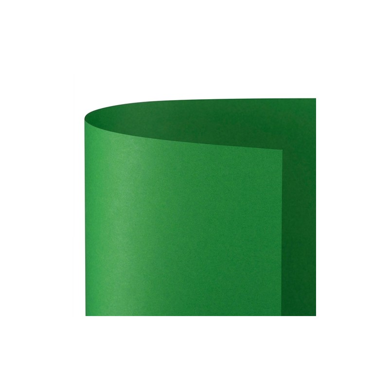 Favini A35D0A1 - Cartoncino Bristol 100 x 70 cm Verde