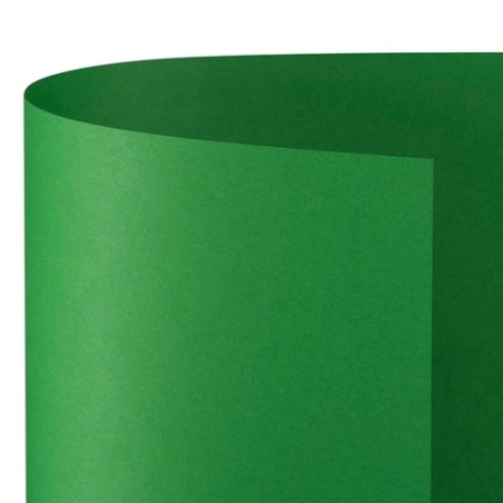 Favini A35D0A1 - Cartoncino Bristol 100 x 70 cm Verde